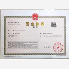 深圳市人力資源有限公司